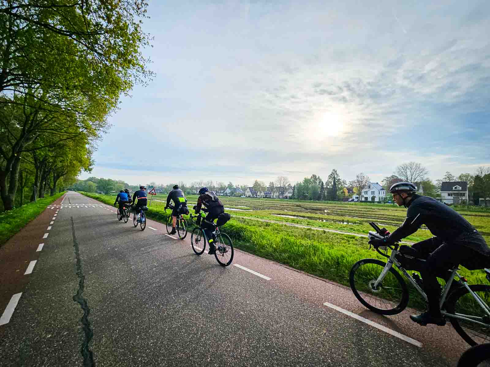 Several cyclists ride behind each other on a road in the Race around the Netherlands