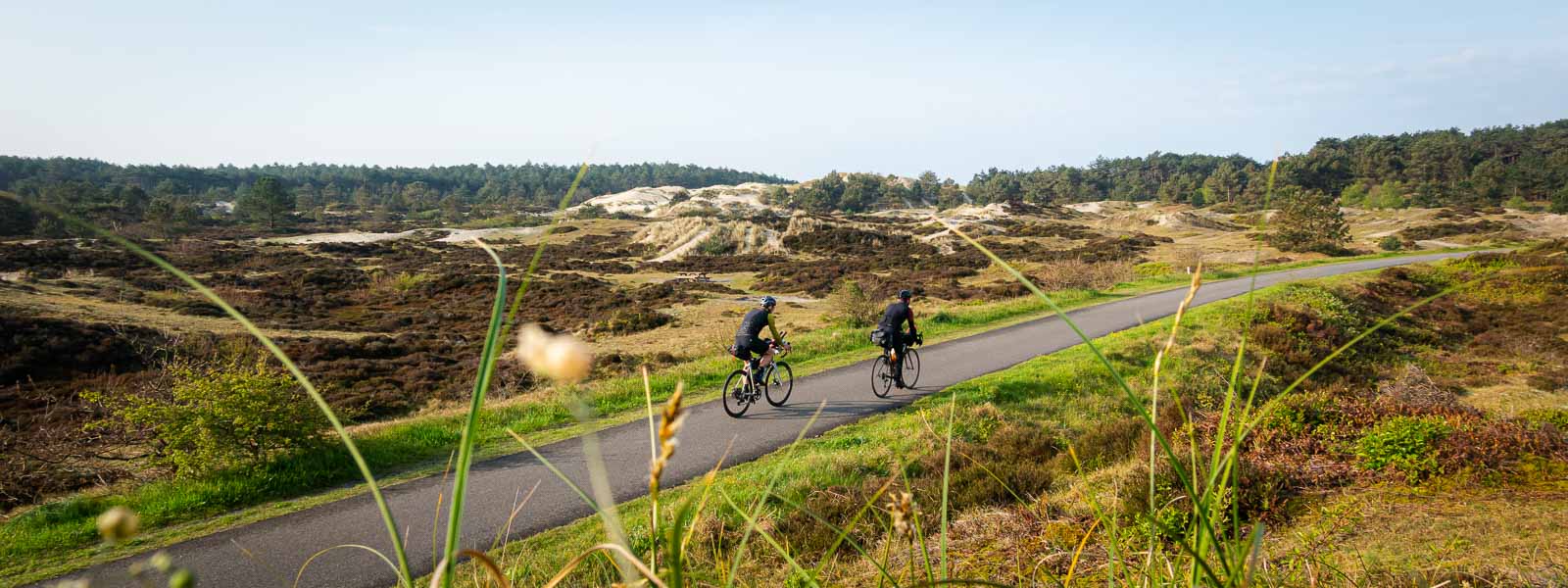 Two cyclists taking part in the Race around the Netherlands ride on a road through dunes.