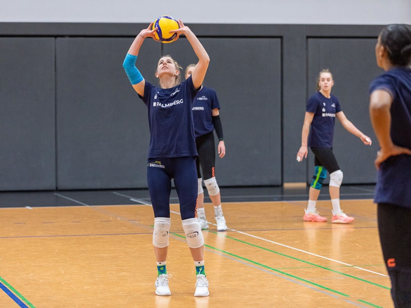 A player of SCC Palmberg in a sports hall receives a ball and wears an elbow brace.