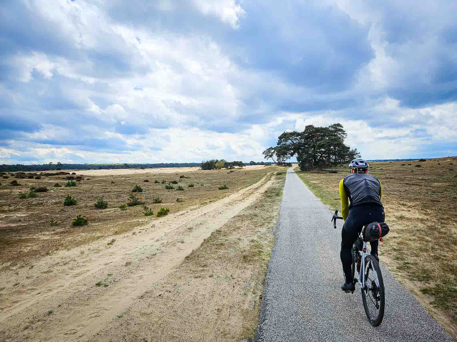 A cyclist rides on a long straight road through a beautiful heath landscape.